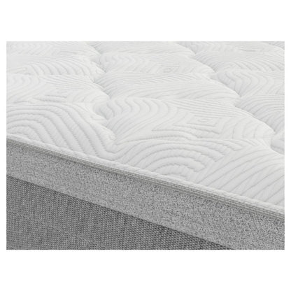 Sealy Single Mattress Range