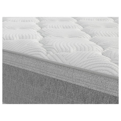 Sealy Advantage Mattress Range